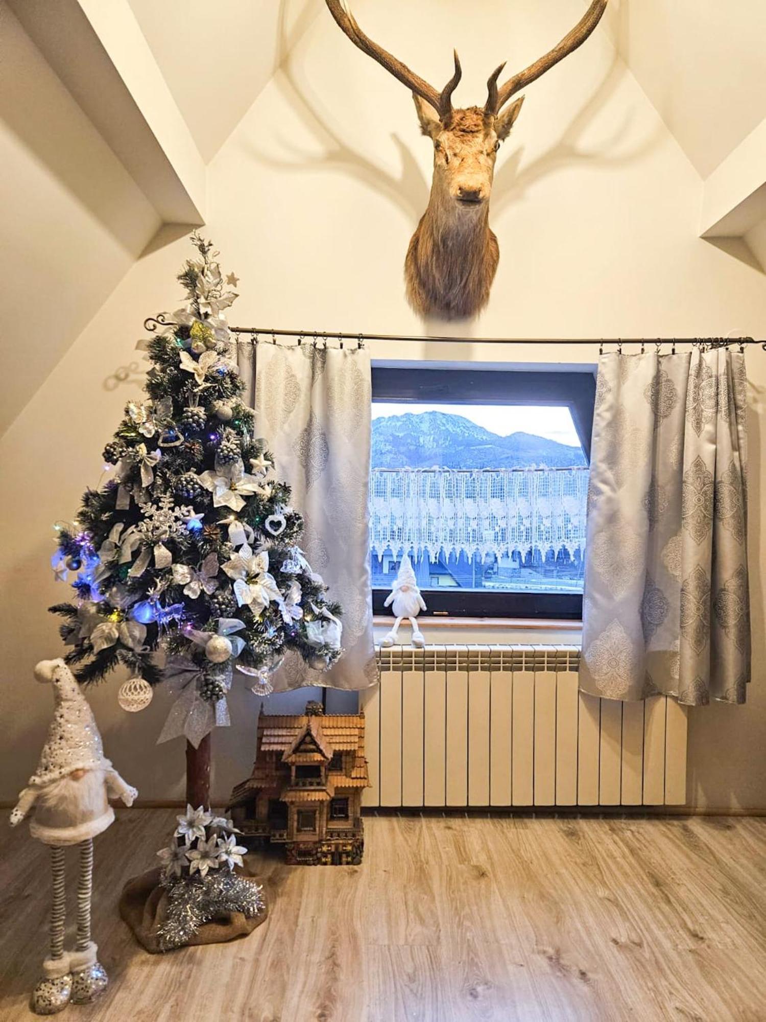 Willa Sasanka Kościelisko Exteriér fotografie